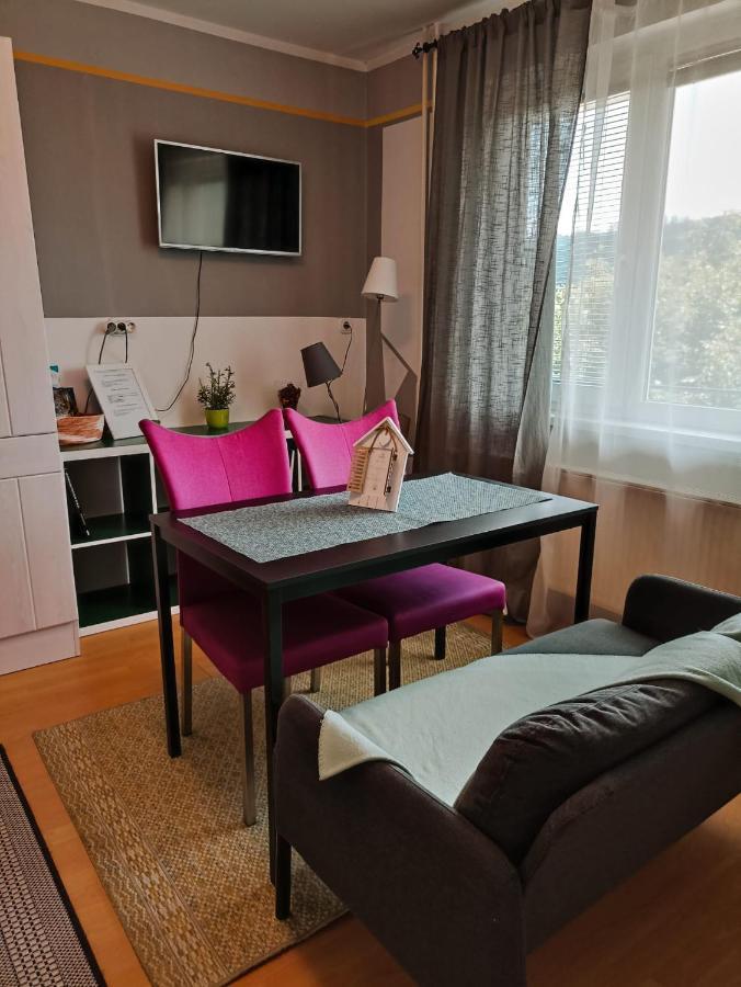 Apartmaji Sofia ماريبور المظهر الخارجي الصورة